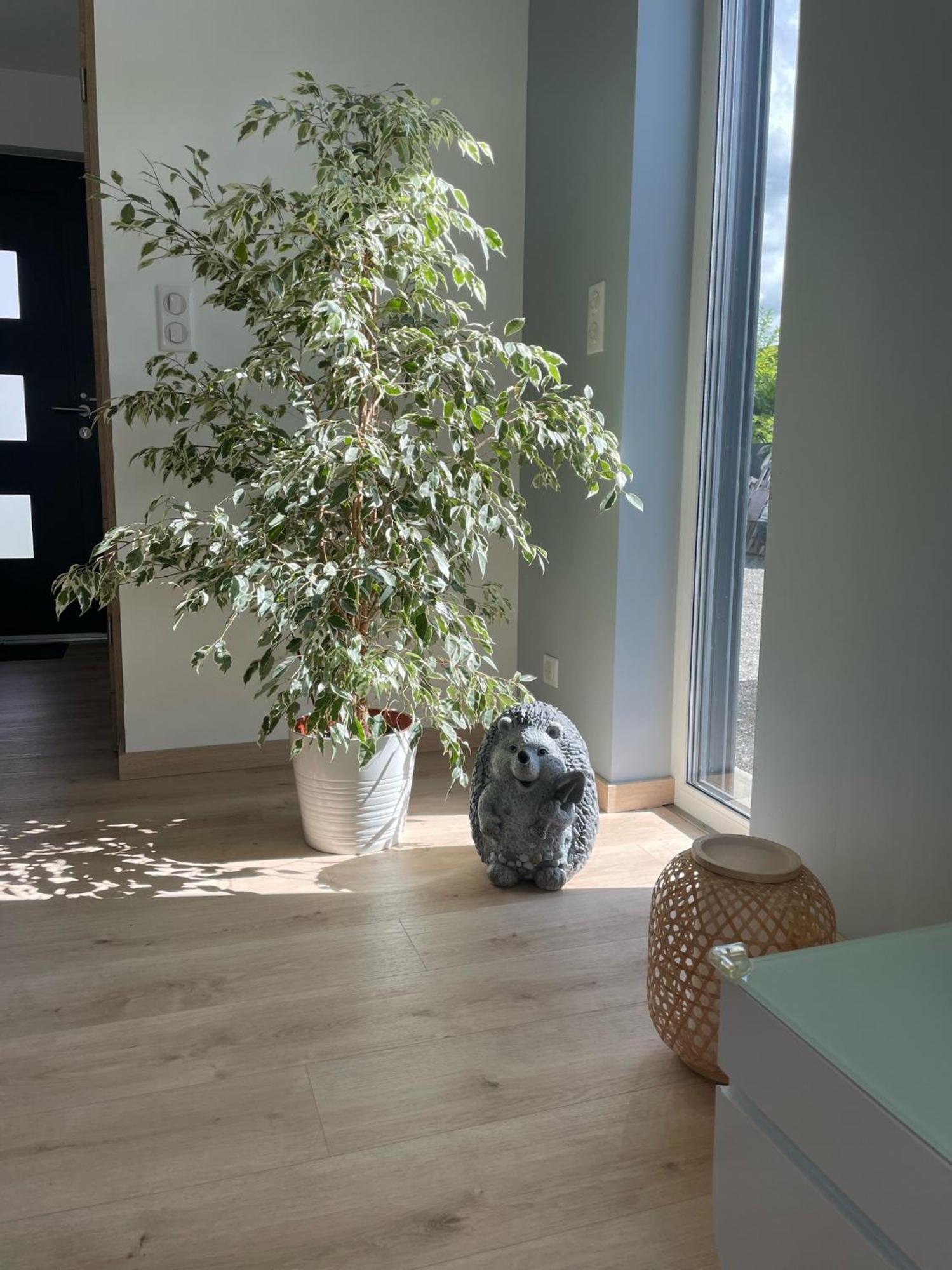 Maison Spacieuse Proche Strasbourg Оствалд Екстериор снимка